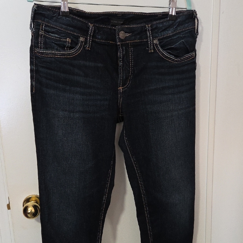 Silver Jeans Dark Wash Women's Skinny Jeans